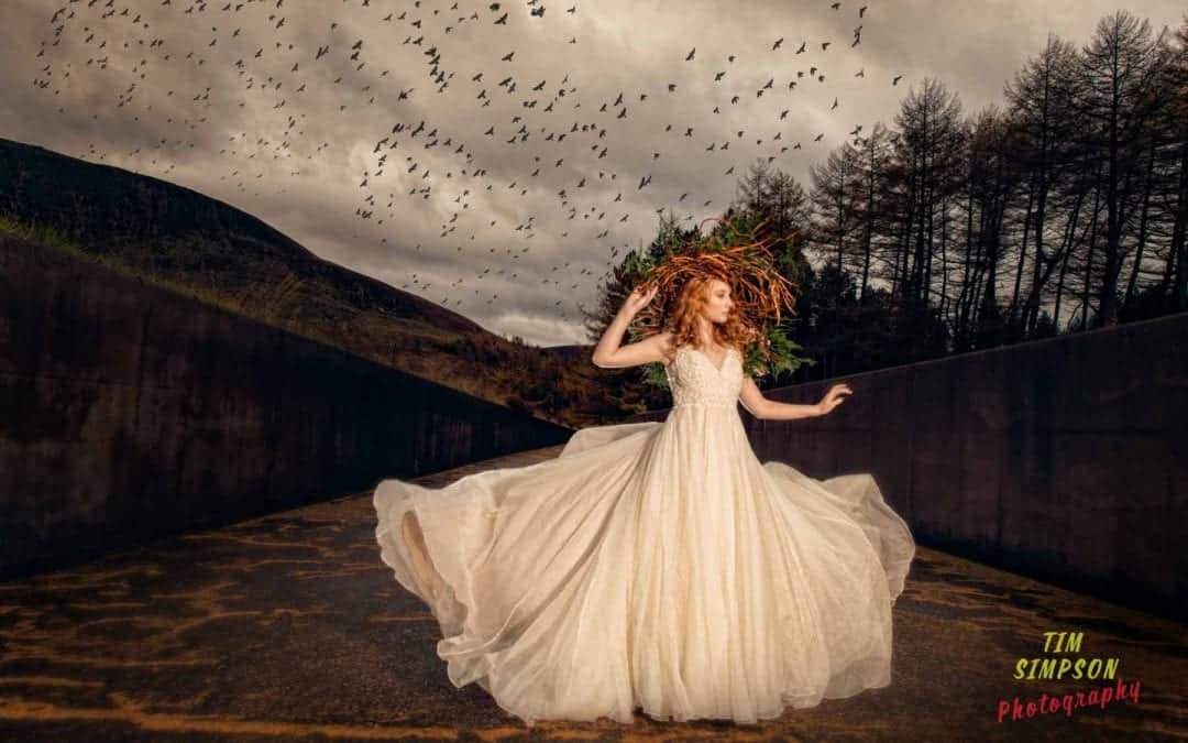 TSP Studios Wins ‘Professional Photographer Of The Year !