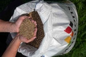 A person, captured by an Oldham photographer, holds a handful of grains above a large white sack filled with more grains. The sack partially shows a colorful logo and text. The scene is set outdoors on green grass.