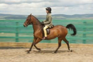 A young person riding a brown horse in a horse arena. The rider is wearing a helmet, beige riding pants, and a green jacket. The horse is trotting with a green fence and distant hills visible in the background under a cloudy sky.