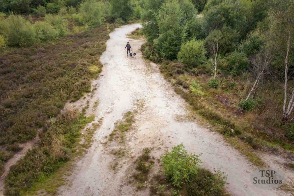 Aerial view of a person walking a small dog along a winding dirt path surrounded by dense green shrubs and trees. The scene is serene, with natural greenery on both sides of the path. The TSP Studios logo is visible in the bottom right corner.