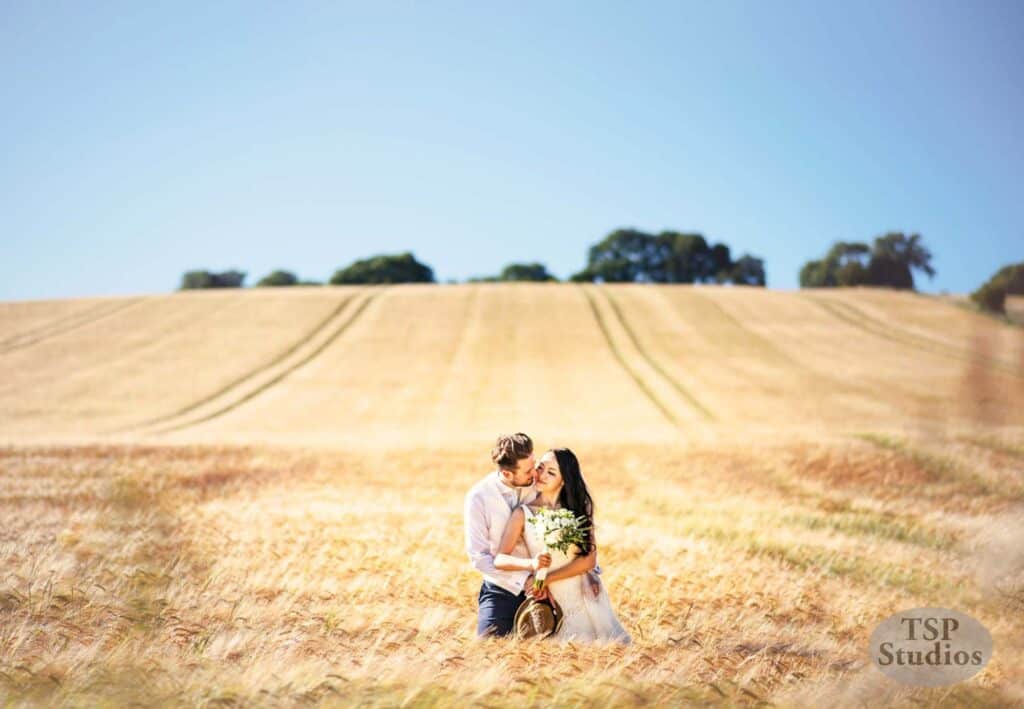 A couple stands in a vast, sunlit wheat field, sharing a kiss. The man holds the woman, who has a bouquet of flowers. The golden field stretches out behind them with clear blue skies overhead. "TSP Studios" is visible in the bottom right corner of the image.