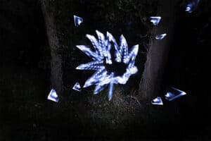 Abstract blue and white light trails form a spiky, circular pattern between two tree trunks in a dark forest, creating the illusion of floating shards.