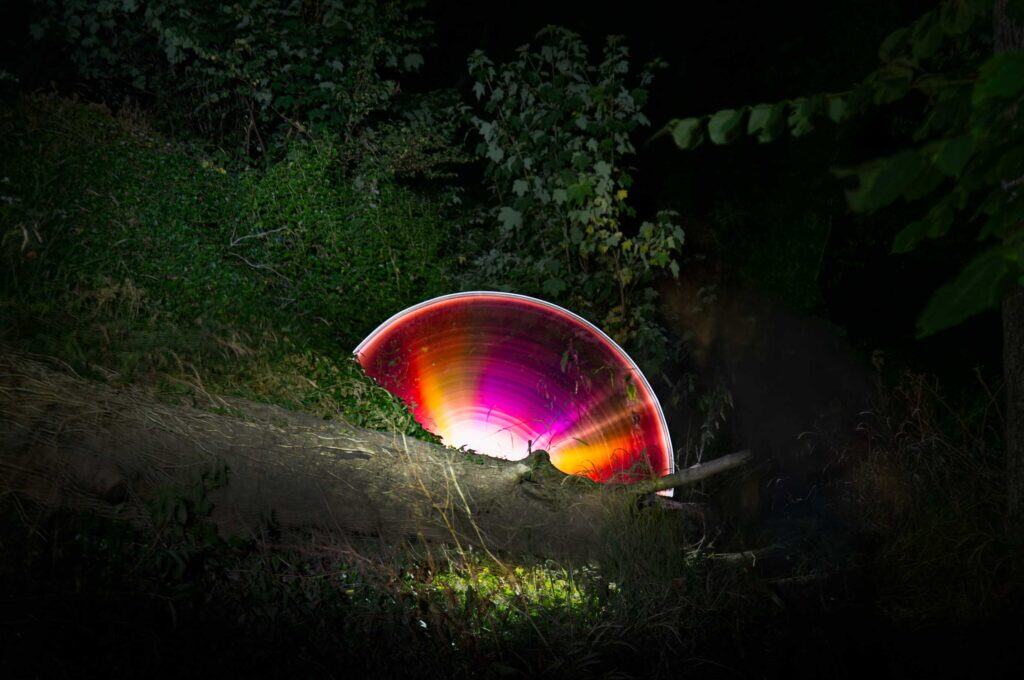 A glowing, colorful arc of pink, orange, and yellow light appears behind a fallen tree trunk in a dark, wooded area with green foliage. The light creates a striking contrast against the night.